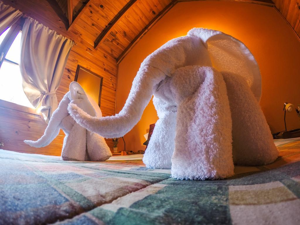 Cabanas De La Patagonia San Martín de los Andes Exterior foto